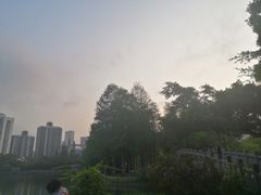 -四海公园(南山区)