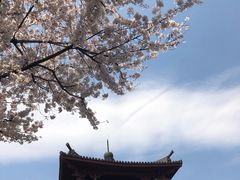 -檀园