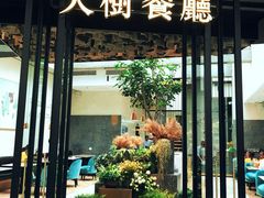 -大树餐厅(红旗街万达店)