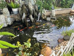 -维倪月子会所(独栋庭院·南海店)