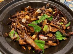 -云海肴·汽锅鸡·云南菜(天山百盛优客店)