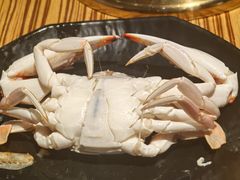 -亚特兰蒂斯-番红花海鲜自助餐厅·鲜活海鲜·小火锅
