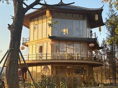 -长田漾湿地公园