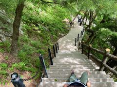 -王顺山国家森林公园