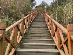 -嵛山岛