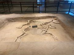 -洛阳周王城天子驾六博物馆