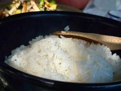 -阿巧茶庄