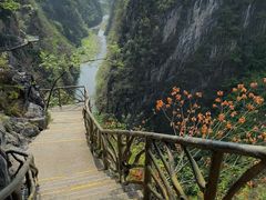-中国黔江城市大峡谷