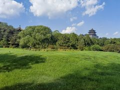 -莲花池公园