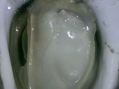 android_upload_pic-蚝专家(北滘店)