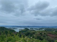-浔味·山屿湖·正宗淳牌全鱼宴老字号