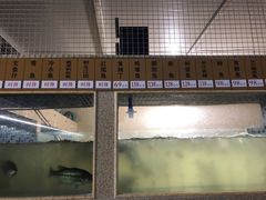 -胖大姐黄辣丁鱼庄(新津店)