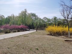 -永定河休闲森林公园