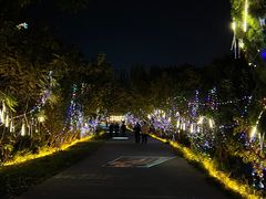 -淄博聊斋城景区