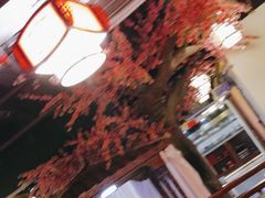 -应天大明王朝·南京菜(中山陵店)