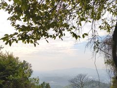 -火炉山森林公园