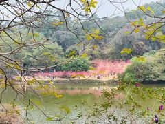 -南国桃园旅游度假区