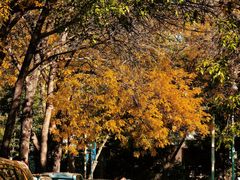 -婕妮璐超市 Jenny Lou’s Shop(三里屯店)