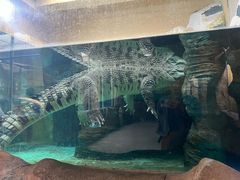 -青藏高原野生动物园