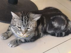 -平行世界·猫咖(首经贸店)