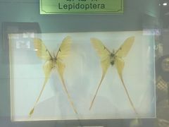 -上海昆虫博物馆