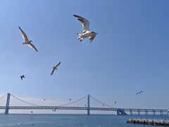 -星海广场