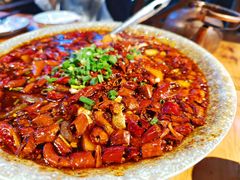 -青城甲(青城山店)