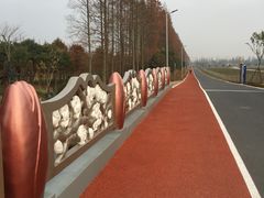 -上海长兴岛郊野公园