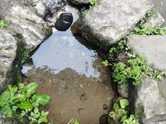 -龙门涧景区