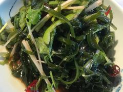 -贺秦生陕面王(富力城店)