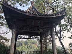 -重庆彩云湖湿地公园