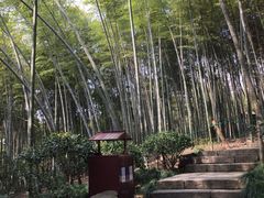 -杭州黄龙洞