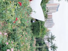 -人民公园(罗湖区)