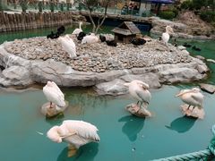 -大连老虎滩海洋公园