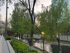 -La Medina餐厅(亮马河南路店)