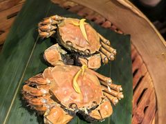 -成隆行·蟹王府(九江路店)