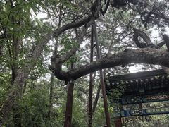 -红螺寺