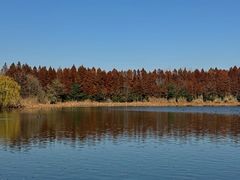 -溱湖国家湿地公园