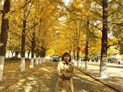 -辽东学院(南校区)