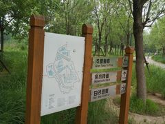 -东郊湿地公园