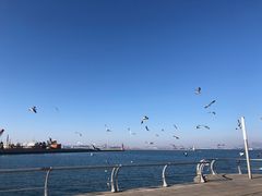 -东港音乐喷泉广场