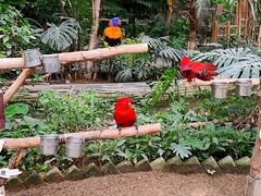 -南宫五洲植物乐园