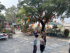 -长洲岛都市农业公园