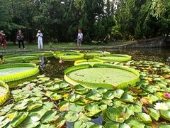 -共青国家森林公园-售票处