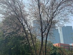 -四川大学(望江校区)
