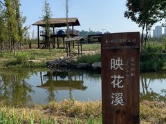 -长田漾湿地公园