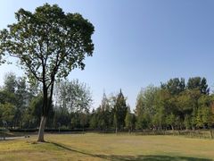-滨湖塘西河公园