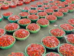 -江杨农产品批发市场