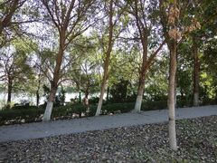 -长白岛森林公园