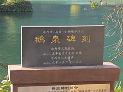 -靖西鹅泉风景区